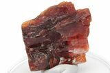 Rare, Red Villiaumite Crystal - Murmansk Oblast, Russia #220042-1